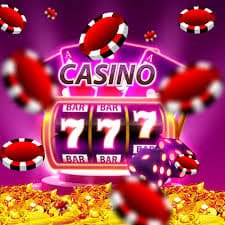 win66 Bingo